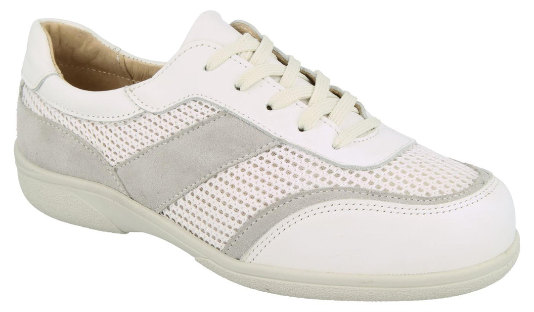 Women's Wide Fit DB Echo Canvas Trainers in Black - Image 11