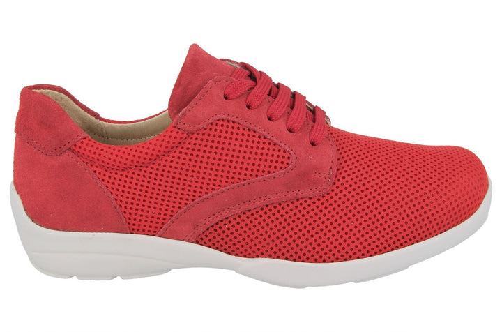 Womens Wide Fit DB Lexi Canvas in Sky Blue / Mesh - Image 1
