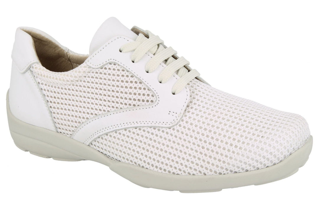 Womens Wide Fit DB Lexi Canvas in Sky Blue / Mesh - Image 18