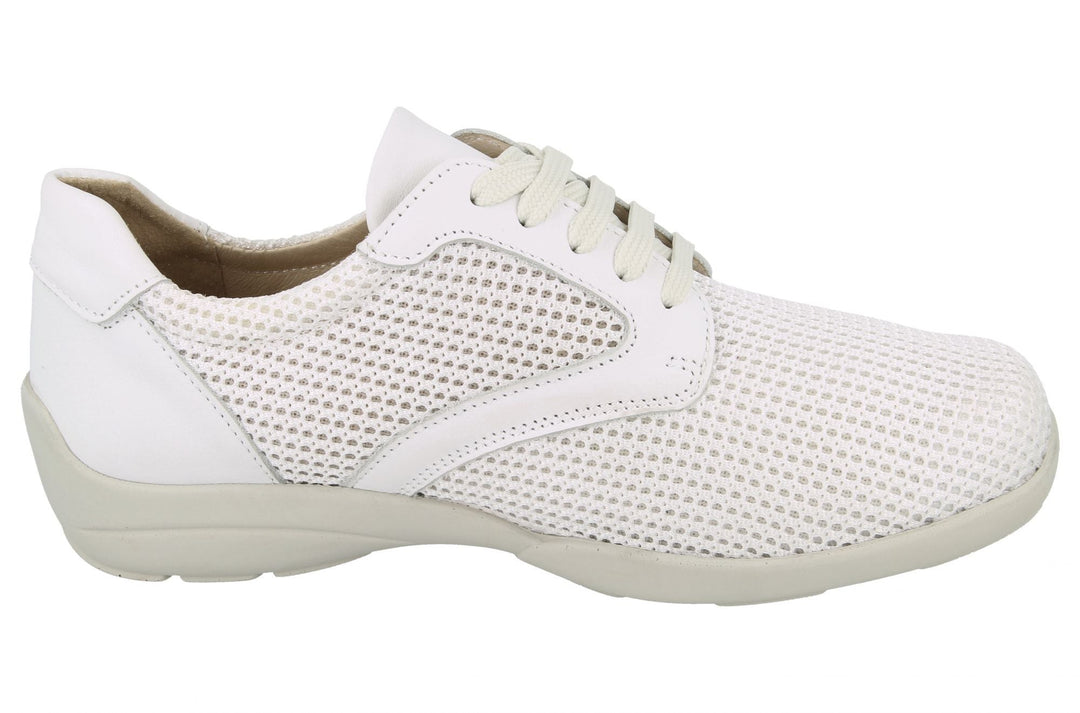 Womens Wide Fit DB Lexi Canvas in Sky Blue / Mesh - Image 19