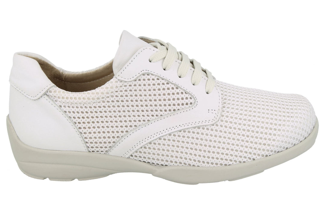 Womens Wide Fit DB Lexi Canvas in Sky Blue / Mesh - Image 17
