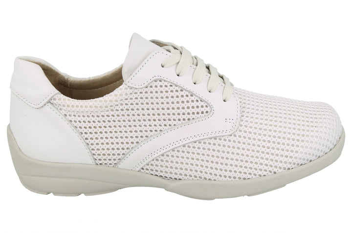 Womens Wide Fit DB Lexi Canvas in Sky Blue / Mesh - Image 1