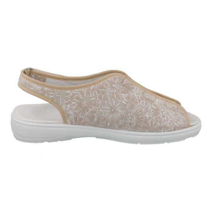 Women's Wide Fit DB Avocado Canvas Shoes in Navy - Image 1