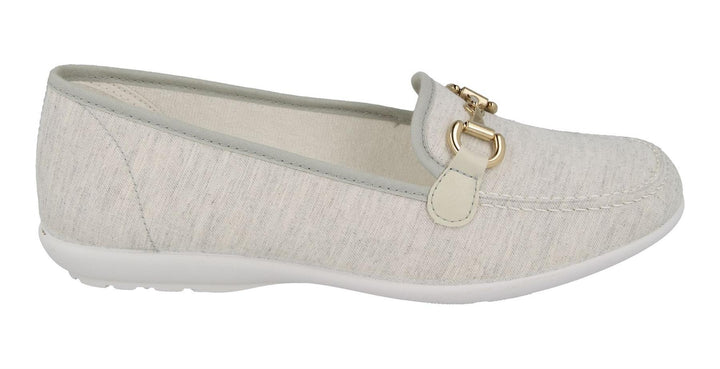 Womens Wide Fit DB Alpha Canvas Shoes in Navy - Image 1