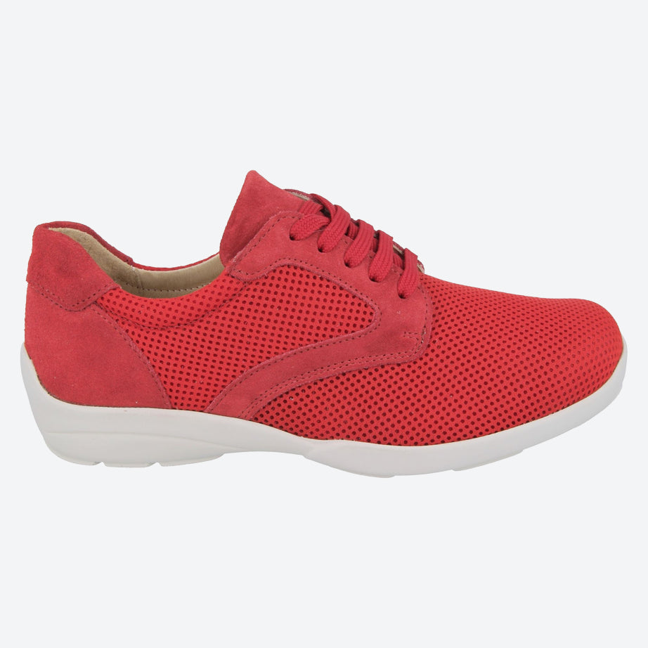 Womens Wide Fit DB Lexi Canvas in Sky Blue / Mesh - Image 6