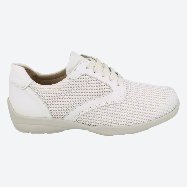 Womens Wide Fit DB Lexi Canvas in Sky Blue / Mesh - Image 1
