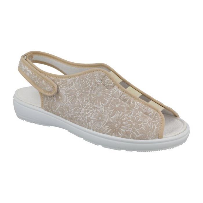 Women's Wide Fit DB Avocado Canvas Shoes in Navy - Image 1