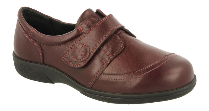 Womens Wide Fit DB Owl Shoes in Black / Stretch - Image 1
